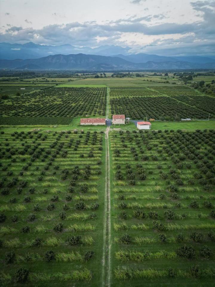 Mestvireni Tel Avi Exterior foto