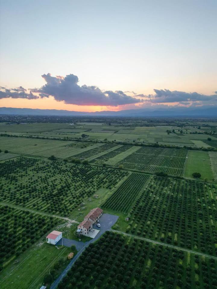 Mestvireni Tel Avi Exterior foto
