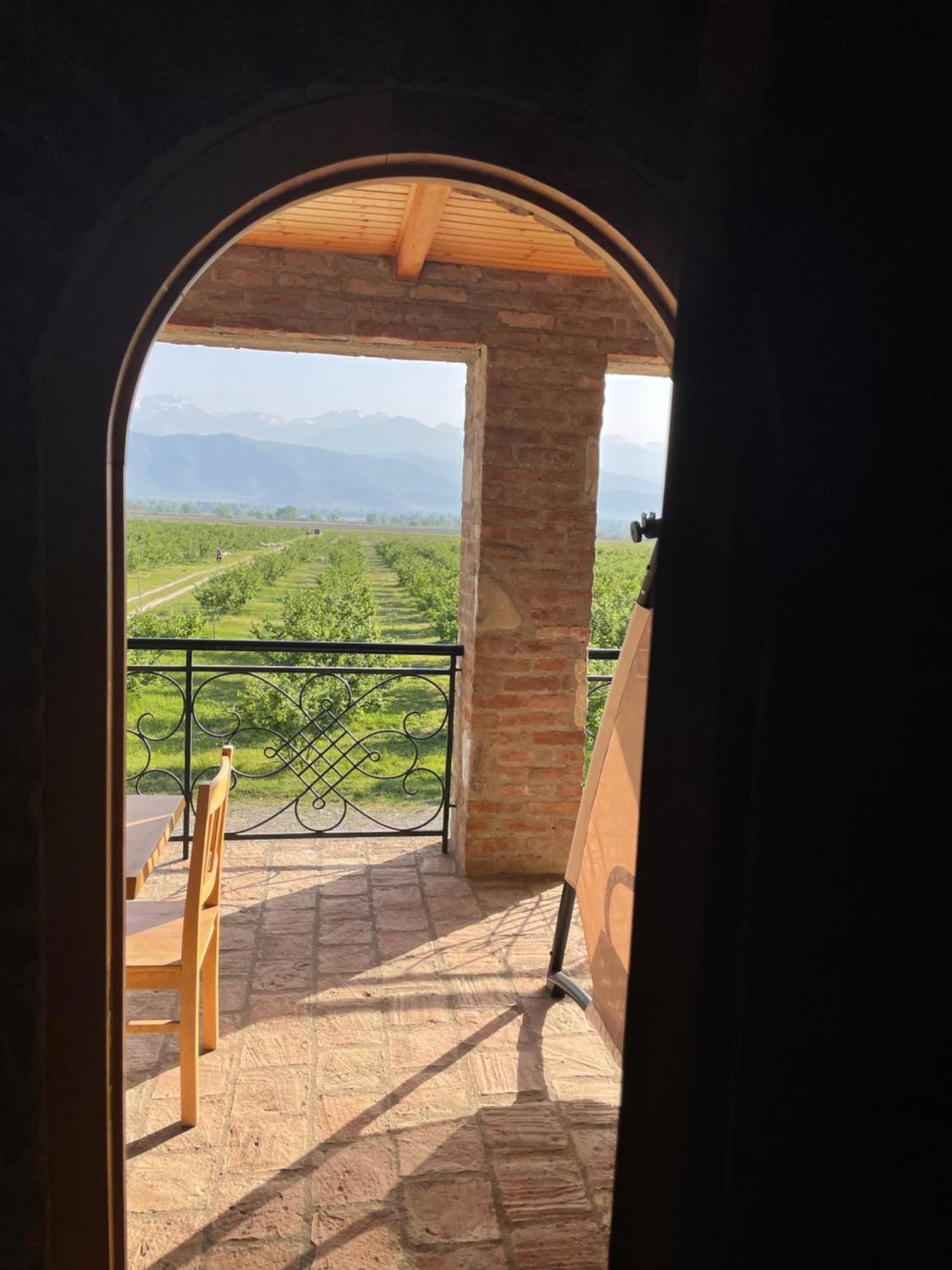 Mestvireni Tel Avi Exterior foto