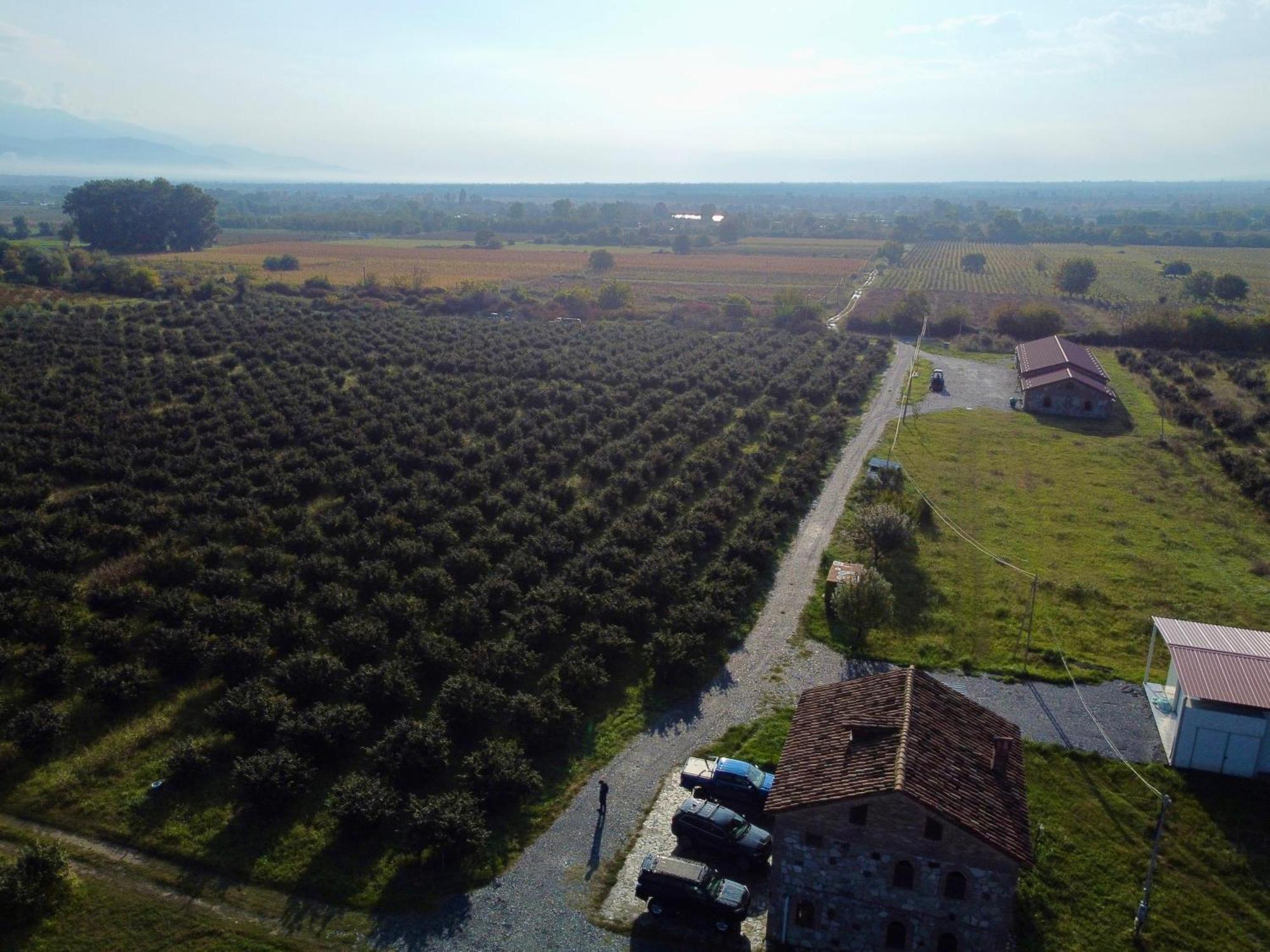 Mestvireni Tel Avi Exterior foto