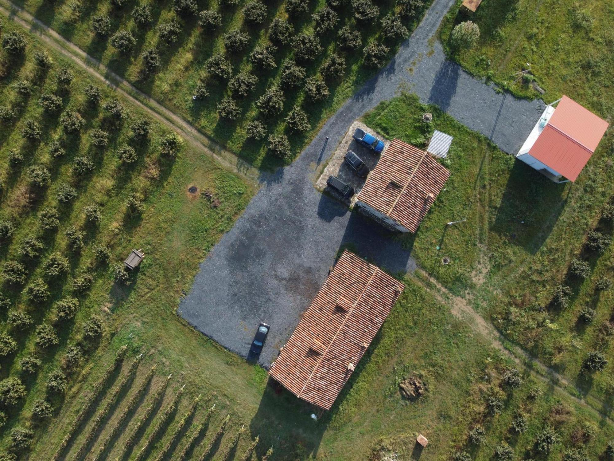Mestvireni Tel Avi Exterior foto