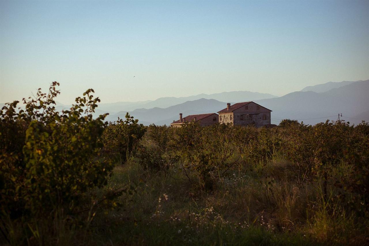 Mestvireni Tel Avi Exterior foto